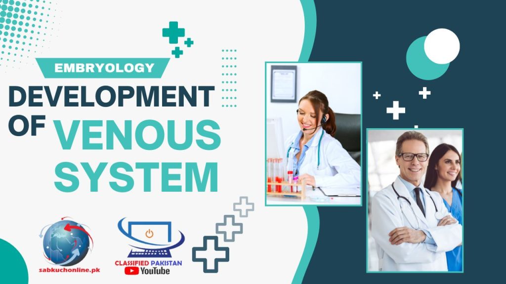 Venous System Development: Embryonic to Adult