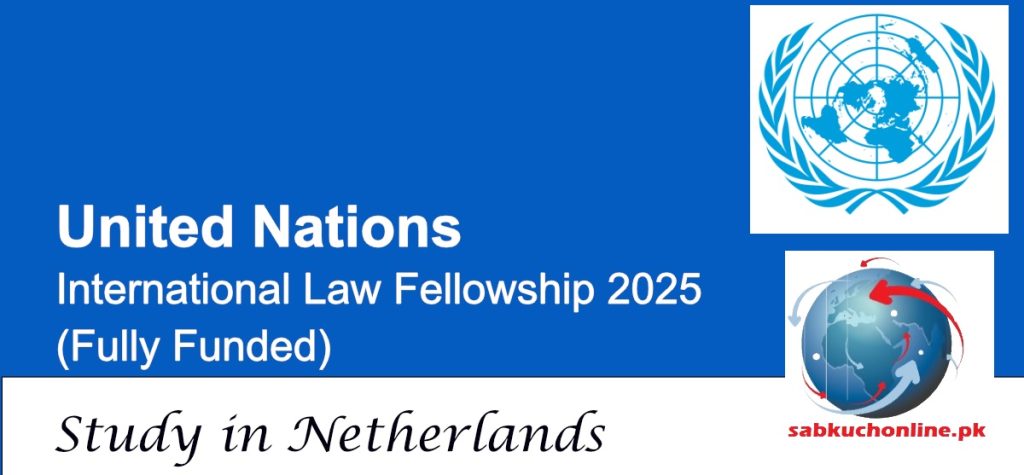 United Nations Netherlands International Law Fellowship 2025 (Fully Funded)