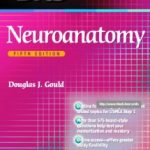 BRS Neuroanatomy FIFTH EDITION pdf book free download