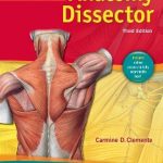 Clementes Anatomy Dissector 3rd edition pdf book free download