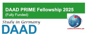 Germany DAAD PRIME Fellowship 2025 (Fully Funded)