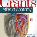 Grants Atlas of Anatomy 14th edition pdf book free download