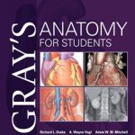 Gray’s Anatomy for students fourth edition pdf book free download