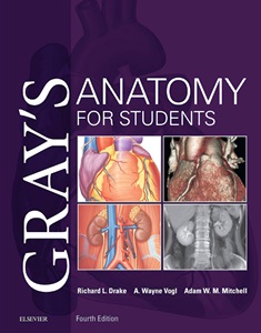 Gray’s Anatomy for students fourth edition pdf book free download