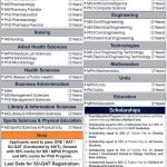 Sarhad University of Science & Information Technology admissions