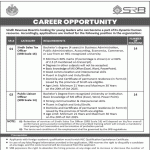 Sindh Revenue Board Jobs