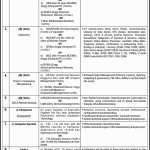 Public Sector Organization Jobs