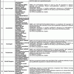 PPHI Sindh Jobs May 2026 Apply Online Social Organizer, HR Assistant & Others Peoples Primary Healthcare Initiative Latest