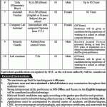 Chenab College Chiniot Jobs 2026 