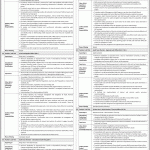 National Bank of Pakistan Jobs July 2026 Apply Online