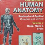 BD Chaurasia’s Human Anatomy – Head Neck & Brain IV Edition (Volume 3) pdf book free download