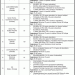 Cantt Public High School and Girls College Sialkot Jobs 2026 August Apply Online Teaching Faculty & Others Latest