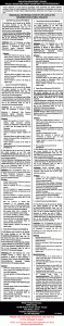 Irrigation Department Punjab Jobs August 2026 Apply Online Deputy Assistant Directors & Others Latest