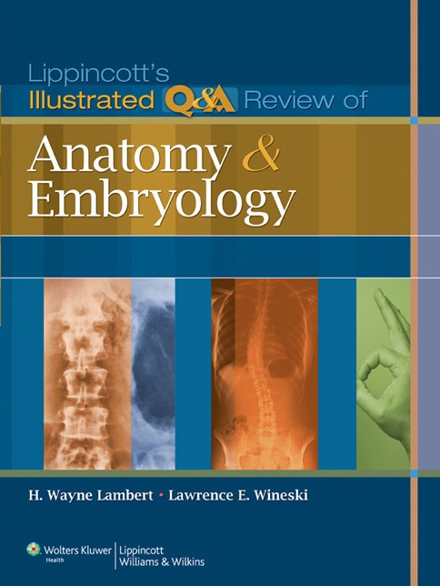 Lippincott’s Illustrated Q&A Review of Anatomy and Embryology 1st Edition pdf book free download