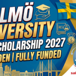 Malmö University PhD Scholarship 2027 in Sweden | Fully Funded