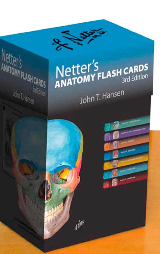 Netter’s Anatomy Flash Cards 3rd Edition pdf book free download