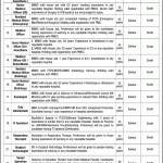 Shaheed Mohtarma Benazir Bhutto Institute of Trauma Sukkur Jobs August 2026 Apply Online SMBBIT Latest