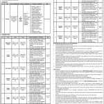 Daanish Schools Jobs September 2026 Apply Online Teachers & Principals MoFE&PT Latest