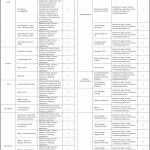 PPCBL Jobs September 2026 Apply Online Punjab Provincial Cooperative Bank Limited Latest